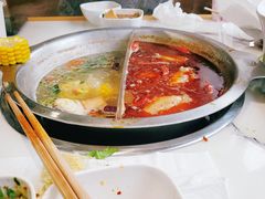 -傣妹火锅(狮子桥店)