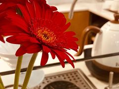 -Cafe on warm(丹霞店)