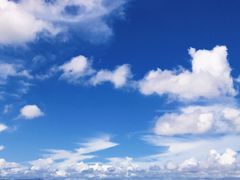 -海堤纪念公园