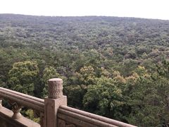 -灵谷景区