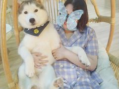 -Husky Go! 哈士奇体验馆·宠物咖啡厅狗咖