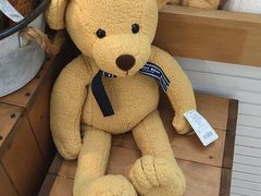 -济州岛泰迪熊博物馆