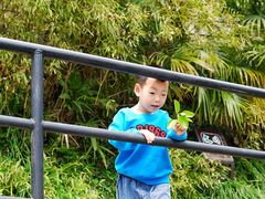 -上海佘山国家森林公园西佘山园