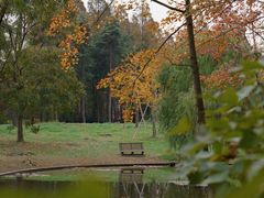 -上海共青森林公园