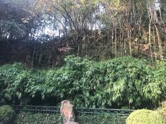 -杭州黄龙洞
