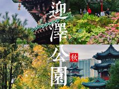 -迎泽公园