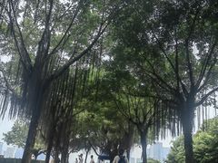 -莲花山公园