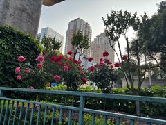 -龙湖重庆时代天街