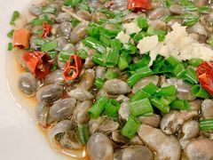 葱油泥螺-天天渔港海鲜酒家(石浦玉泉路店)