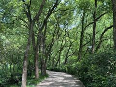 -宁波市保国寺古建筑博物馆