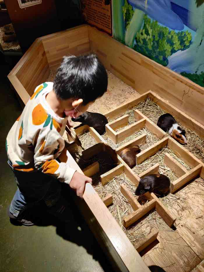 hi zoo万象萌宠公园-"金爵万象商场里的mini小型动物动物园,.