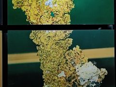 -黄金博物馆