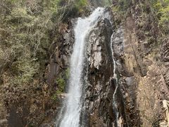 -姑婆山旅游区