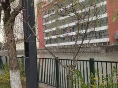 -黄兴公园