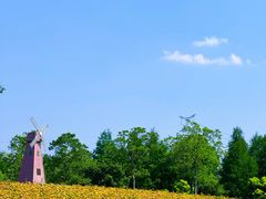 -同里国家湿地公园