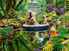 -上海共青森林公园