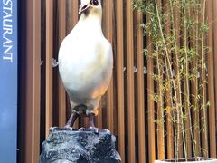 -琬苑鸽庄·川粤融合菜(解放碑总店)