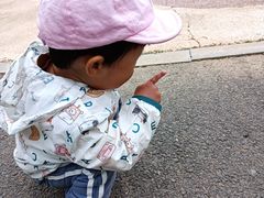 -天津东丽湖风景区