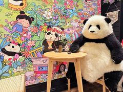 -轩客会(熊猫书店)