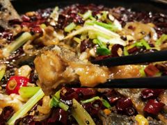 -老板恋上鱼(荣盛广场店)