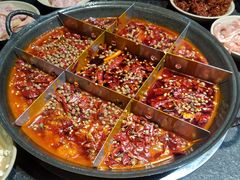 -大虎重庆老火锅(正弘城店)