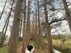 -上海长兴岛郊野公园