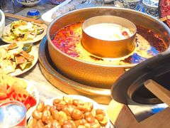 -矮板凳老火锅(宽窄巷子店)