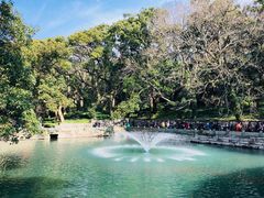 -普陀山风景名胜区-法雨禅寺
