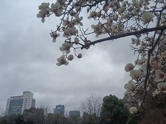 -上海瑞金洲际酒店