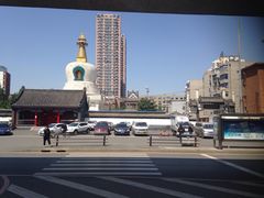 -杨记小骨头羊杂馆(南五马路店)