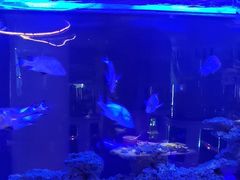 -上和臻品中国菜(花园街店)