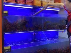 -虾铺子龙虾·私房菜(金源花苑店)