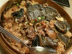 -骏莱海鲜鱼港(五角场店)