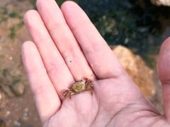 -青岛第三海水浴场