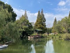 -上海滨江森林公园