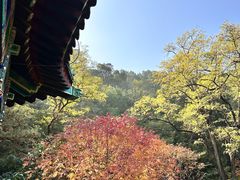 -香山公园