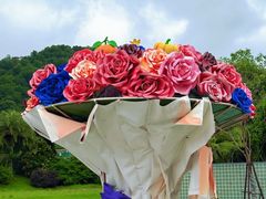 -东南花都花博园