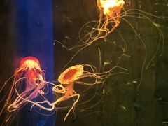 -南京金牛湖风景区