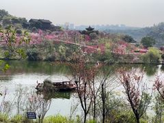 -重庆园博园
