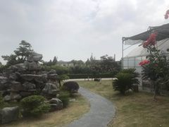 -呼吸森林·生态农庄农家乐私房菜