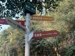 -南山植物园