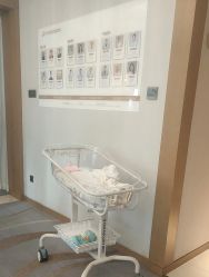 -大美母婴月子中心(希尔顿店)