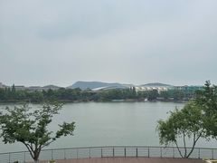 -羊山湖公园
