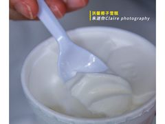-洪馨椰子