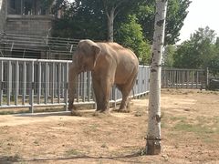 -石家庄市动物园