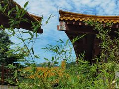 -招虎山国家森林公园-售票处