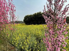 -攀枝花·任德琼·盐边羊肉米线