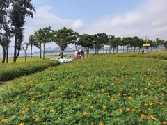 -野狸岛