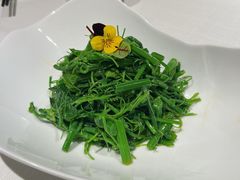 巧拌常青藤-贡宴盐帮菜自贡驻京联络处餐厅