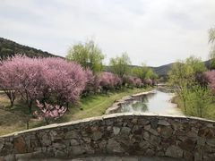 -石塘人家